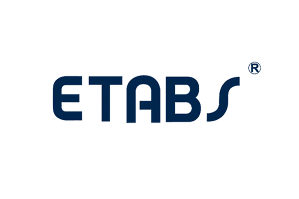 ETABS Professional